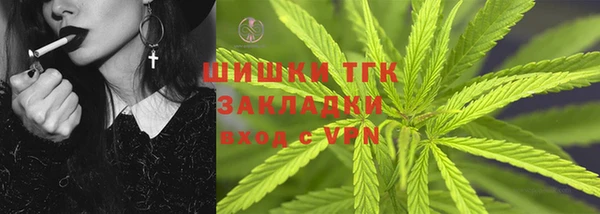 эйфоретик Арсеньев