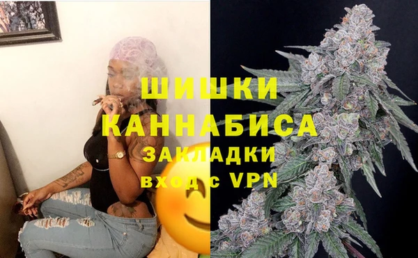 spice Аркадак