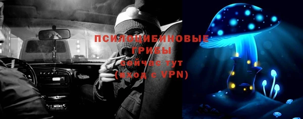 крисы Нефтекумск