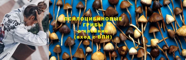 эйфоретик Арсеньев