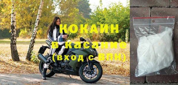эйфоретик Арсеньев