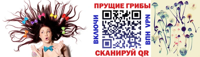 Псилоцибиновые грибы Magic Shrooms  Белозерск 